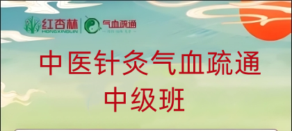 中医针灸气血疏通中级班