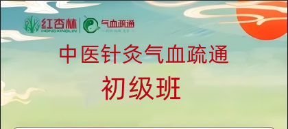 中医针灸气血疏通初级班